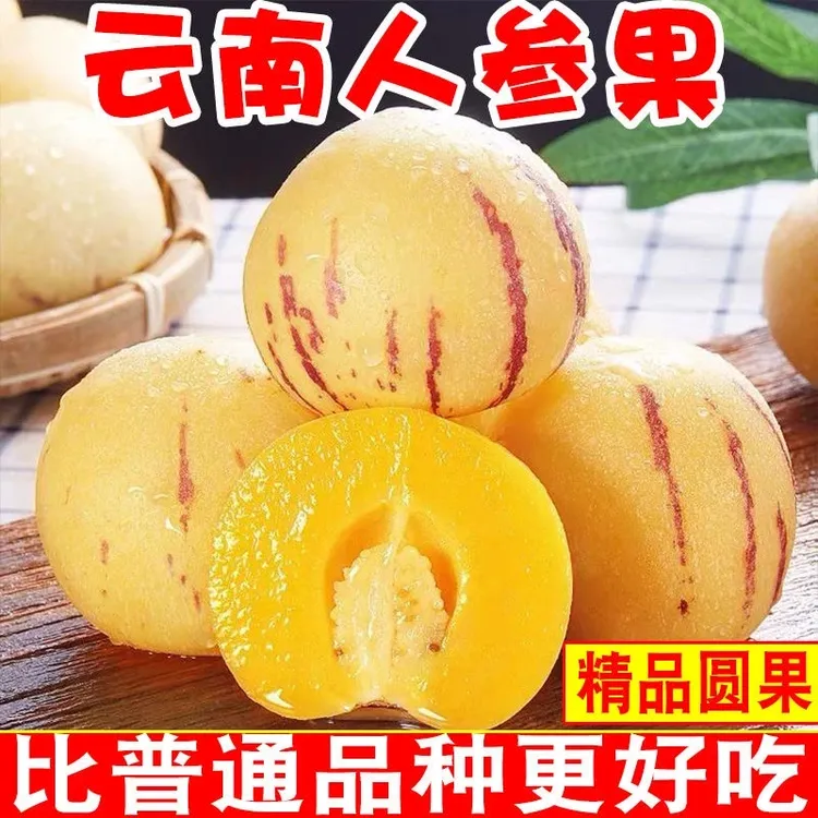 树上自然熟云南石林人参果水果新鲜孕妇人生果圆果黄肉纯甜5斤