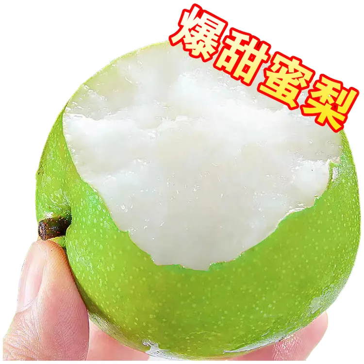 正宗砀山大果梨25年苏翠梨新鲜脆甜无渣爆汁时令水果砀山产地直发