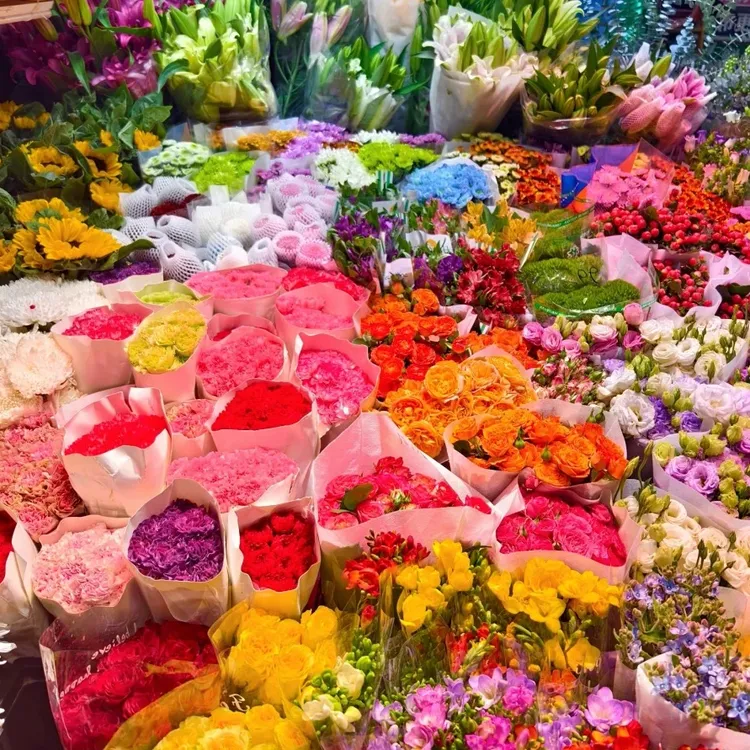 【破冰专属】鲜花绿植 综合多品类鲜切花 永生花 花瓶插花装饰摆件