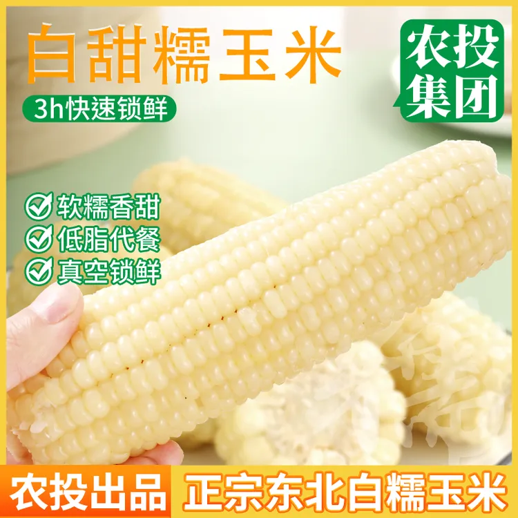 （试吃2根）25年新正宗东北白糯玉米带袋蒸煮甜糯粘真空包装10支