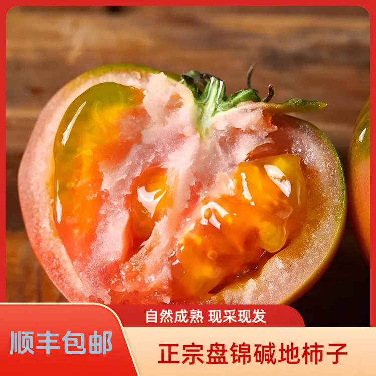 盘锦碱地柿子（精品果） 顺丰包邮 现摘现发 自然成熟