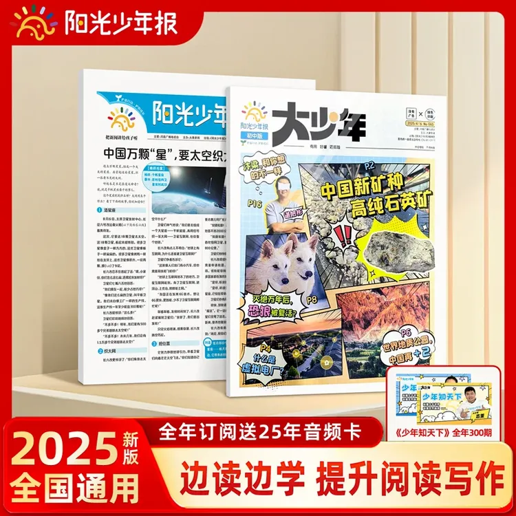 阳光少年报/大少年报纸2025全年订阅中小学课标期刊杂志课外阅读