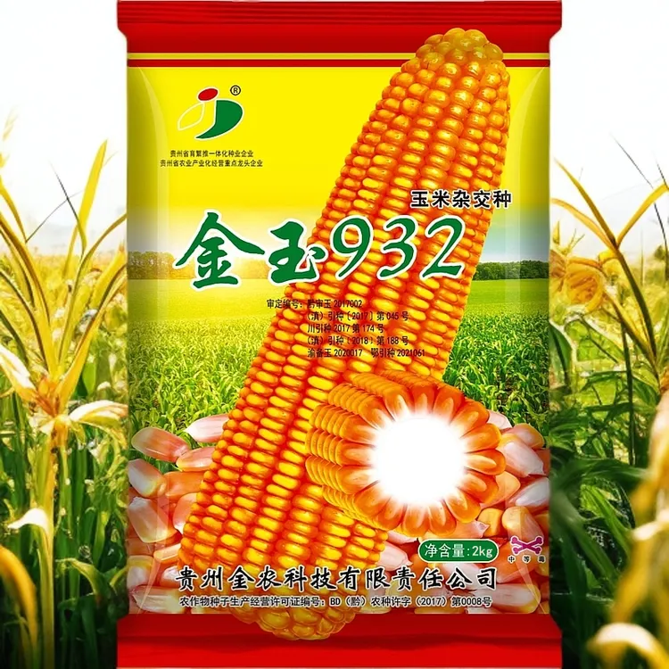 金玉932 高产玉米种子 矮杆早熟 产量高抗病性好 品质好容重高