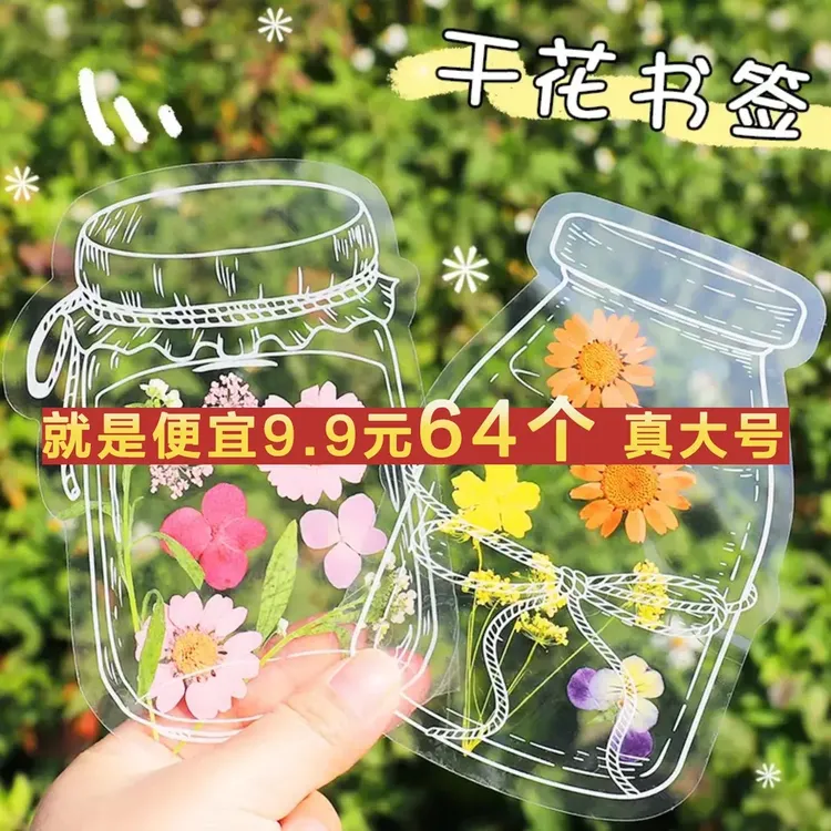（大号）瓶子里的春天儿童树叶画手工DIY透明贴纸干花植物书签册商品图