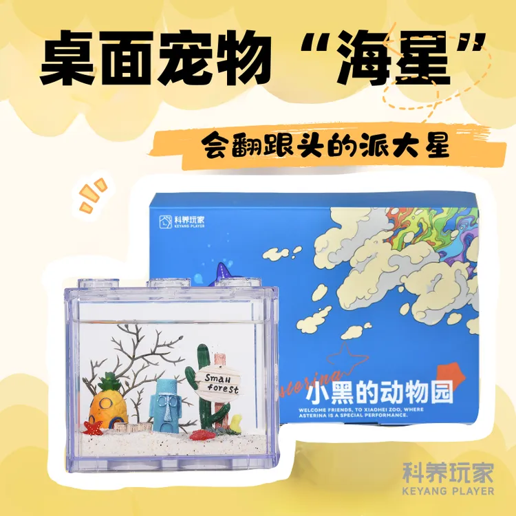 【海星桌面缸】海星饲养套装套餐宿舍懒人宠物儿童节生日礼物学生