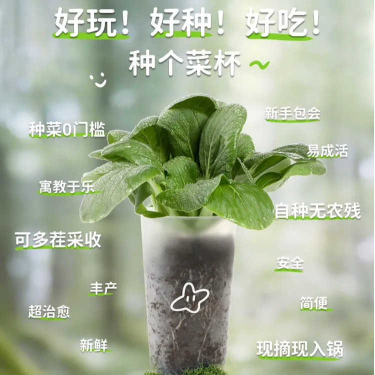 拾鲜都市  上海青蔬菜潮玩健康种植杯 开盖浇水简易种植