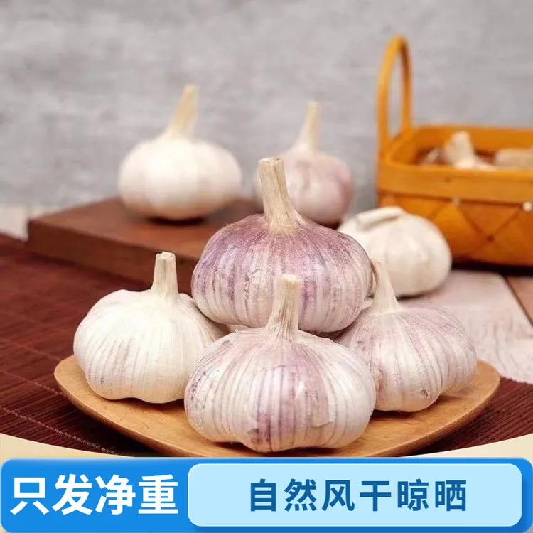 【新干蒜】河南杞县紫白皮大蒜自然晒干蒜香浓郁紫皮大蒜3斤5斤9斤