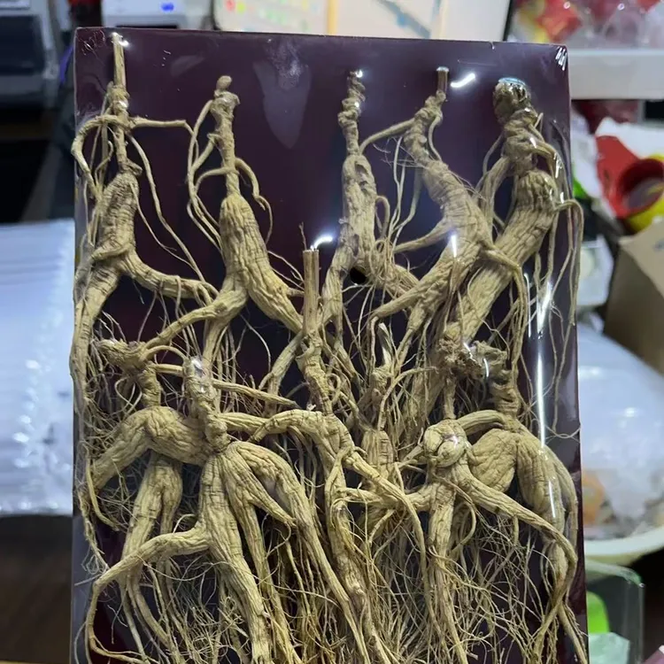 陈与陈林下参山参250g 干人参盒装 泡酒专用 皂苷含量高 送礼有面