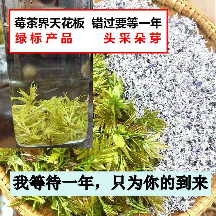 【春茶头采】春茶朵芽茶小米芽茶张家界莓茶永顺莓茶