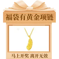 【郭少芸专属】左上角参与小天使之翼饰品项链