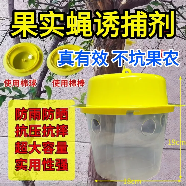 果实蝇引诱剂专用小实蝇针锋雌雄诱捕柑橘果树蛆虫农用诱捕器克星