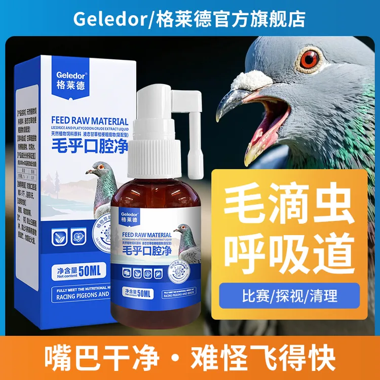 赛种幼信鸽子呕吐嘴巴臭口黄癀慢呼呼吸道清理口喷净喷口净口腔净