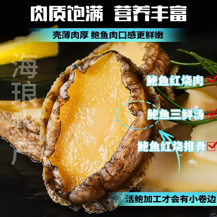 【顺丰冷链】大号鲍鱼肉5-6厘米 纯肉速冻 红烧炖肉 生鲜 海鲜水产