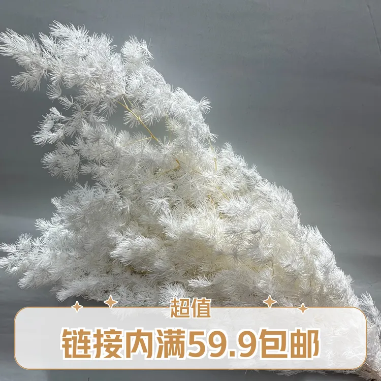 蓬莱松永生花情人节教师节花束