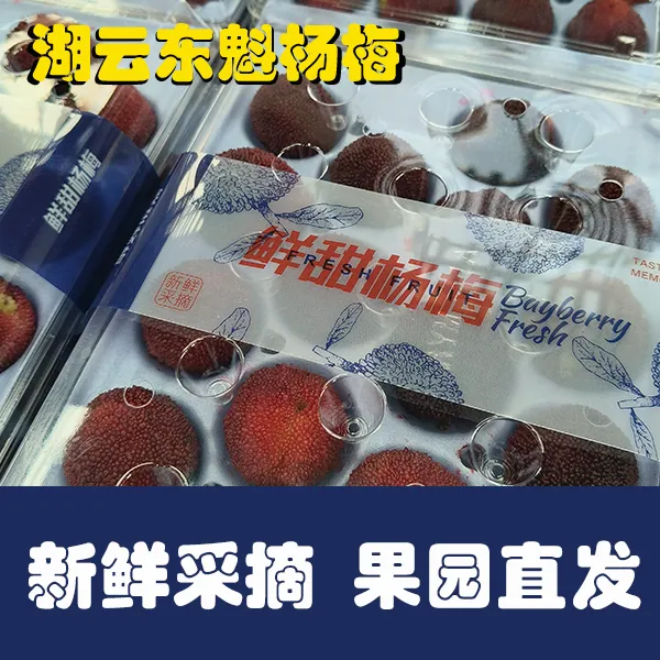 【大果】江西湖云东魁杨梅新鲜现摘当季水果礼盒装一盒16颗整箱4盒