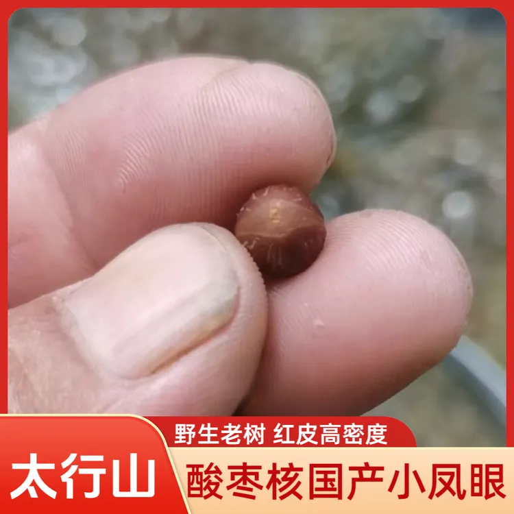 野生酸枣核原籽山枣核散籽批发手串料河北太行山国产小凤眼正圆