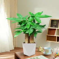三杆发财树盆栽易活植物室内客厅小盆景四季常青内盆栽花卉美