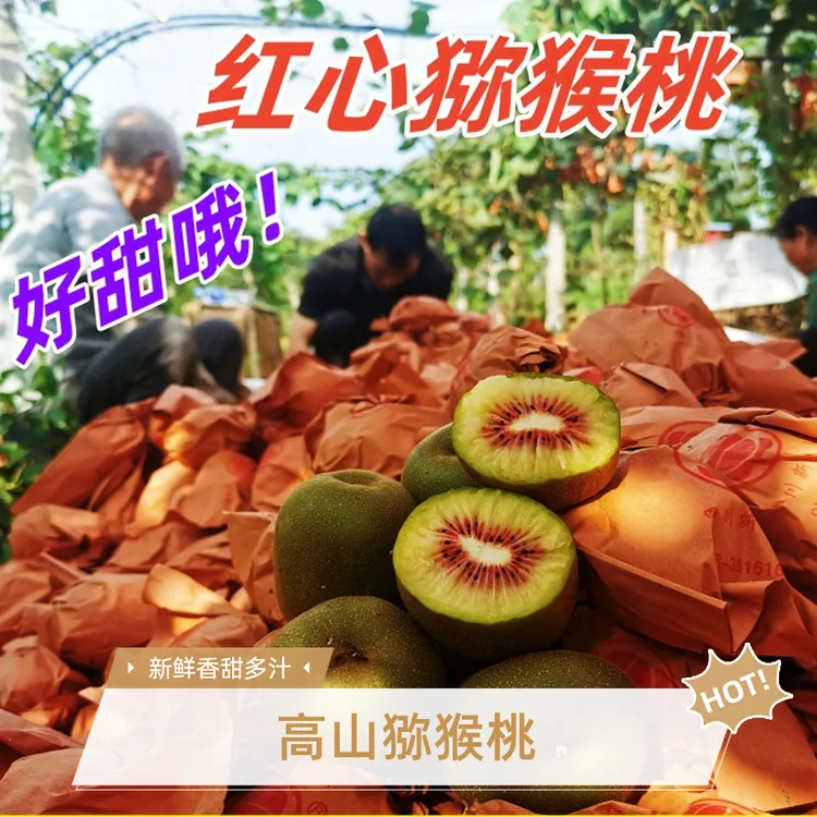 【催软即食】高山红心猕猴桃四川奇异果软糯香甜 新鲜水果 自然成熟