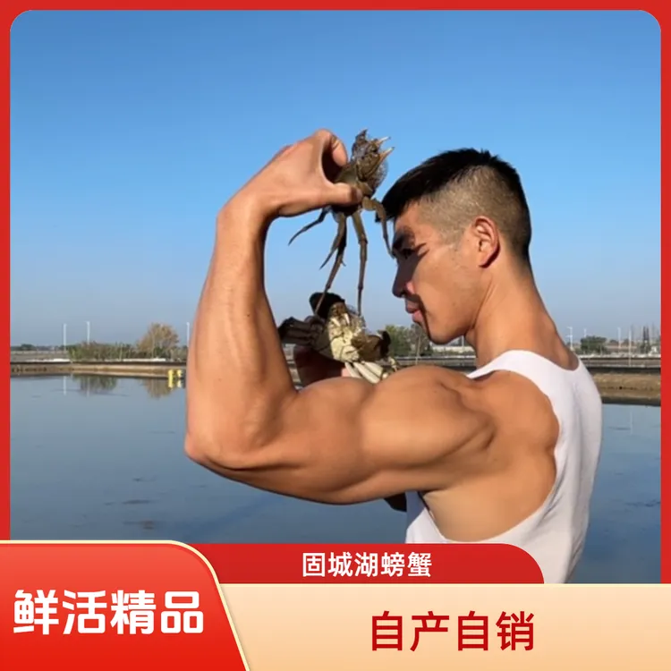 现货固城湖大闸蟹鲜活精品螃蟹4两母蟹5两公蟹10只装