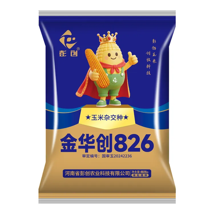【金华创826】高产优质玉米新品种  抗性好根系发达