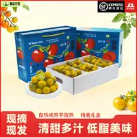 【顺丰/京东包邮】【喜蕃】礼盒装小番茄西红柿水果现摘低糖中秋