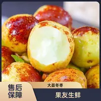 【陕西大荔冬枣 果王】酥脆整箱带箱2.8斤左右太原晋中吕梁忻州购买