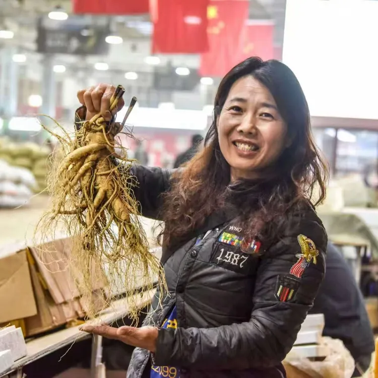 长白山鲜人参原产地适合泡酒送礼【保温箱+青苔发货】