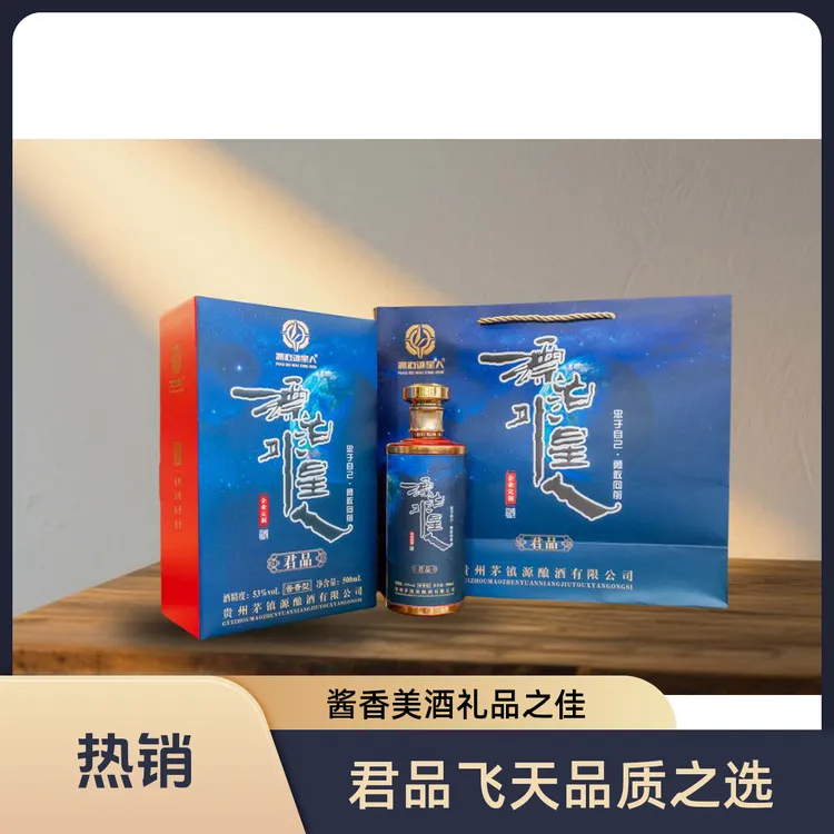 漂泊外星人君品茅台镇酱香型纯粮酿造送礼婚宴会招待53%Vol500