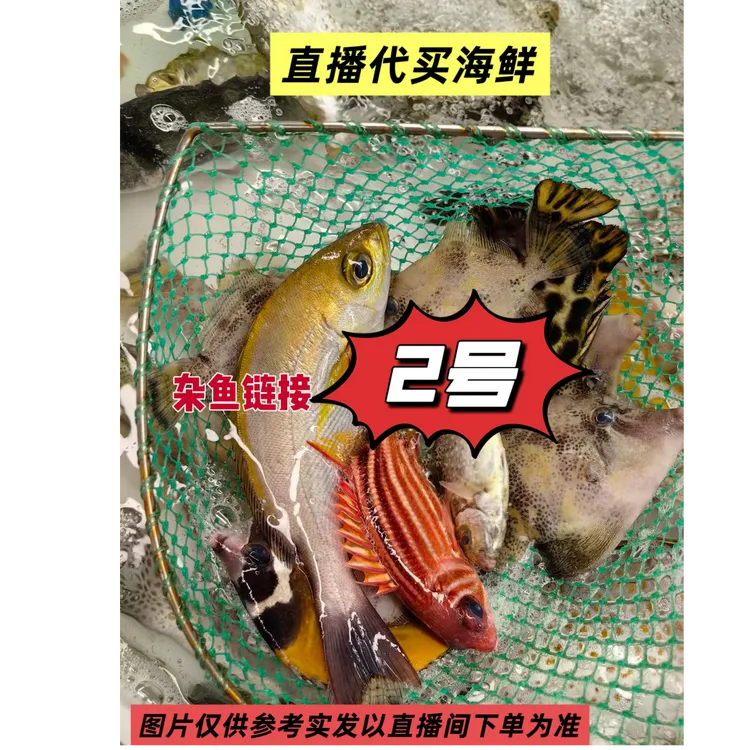 【当天海捕2号】野生鱼虾贝类生鲜码头现拍现称改连接