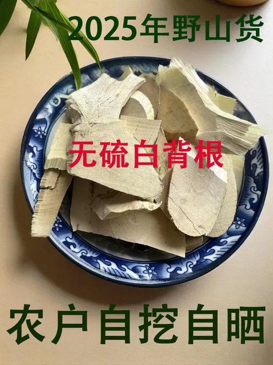 白背根 野货新货无硫白背叶根白贝叶根茎野桐根【买一送一+送汤方】