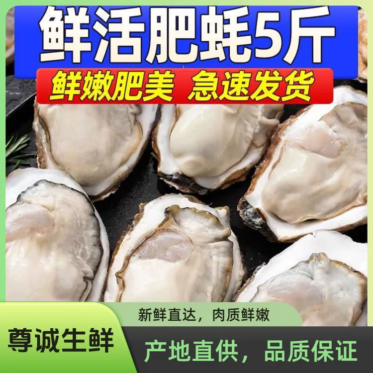 【鲜活】精品三倍体生蚝肉质肥美新鲜美味 产地直销生蚝牡蛎刺身5斤