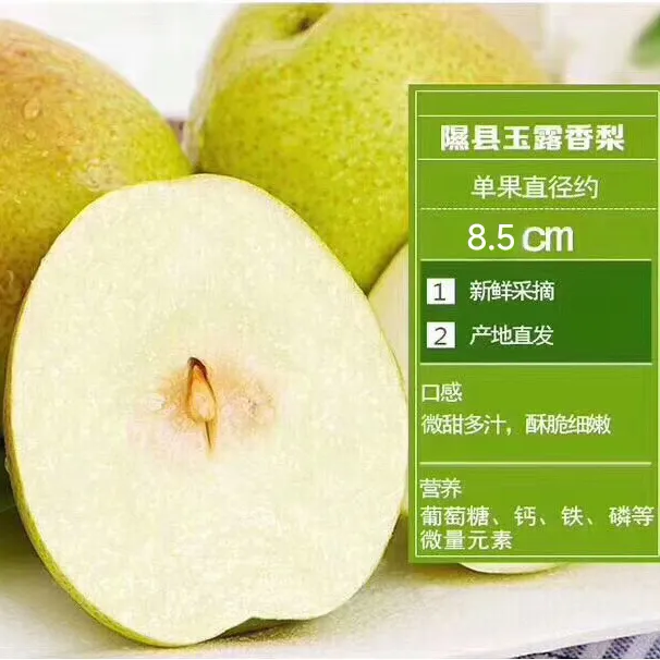 正宗隰县玉露香梨12颗/9颗8斤礼盒装  原产地自建大型恒温库直发