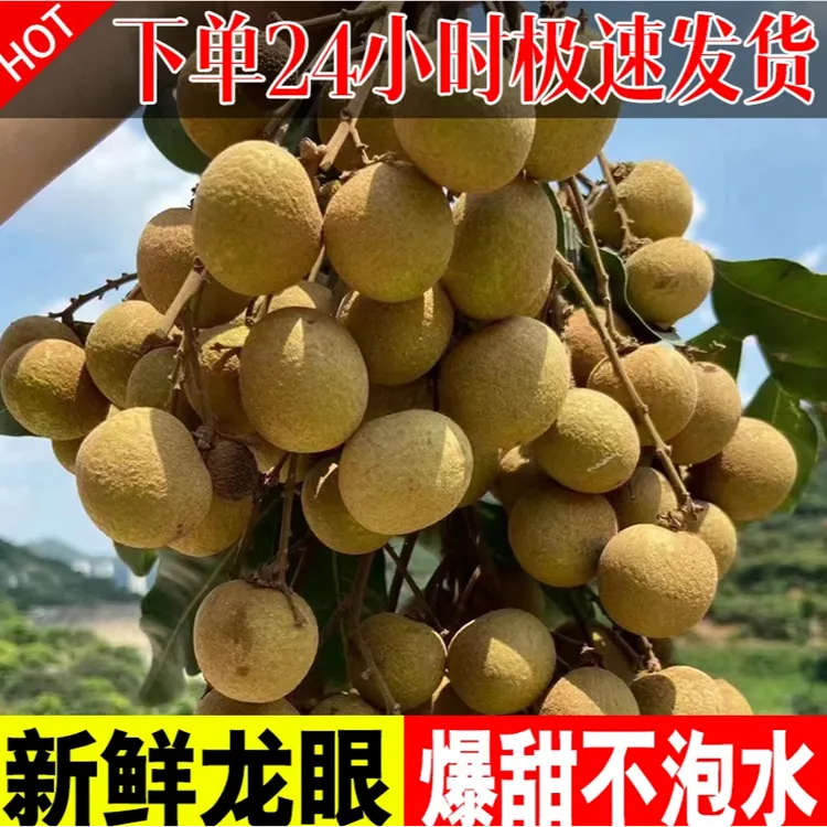 【顺丰包邮】广西石硖龙眼新鲜桂圆水果当季现摘现发2-5斤整箱大果