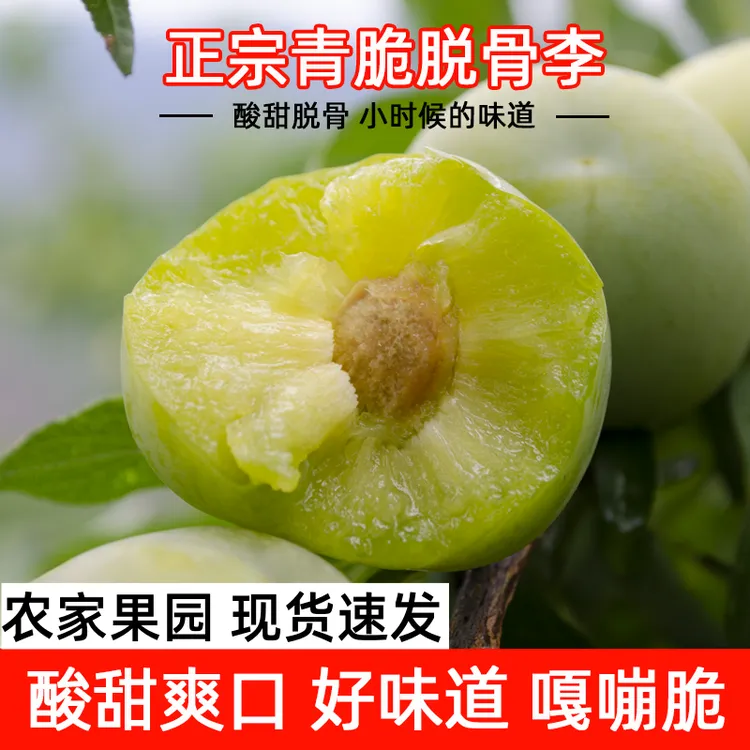 正宗青脆李冰脆脱骨李子精选酸脆甜爽口新鲜孕妇水果整箱包邮