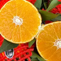 【姜婆甄选】新到原框爱媛  皮薄汁水充足  3.2斤净果起四川省