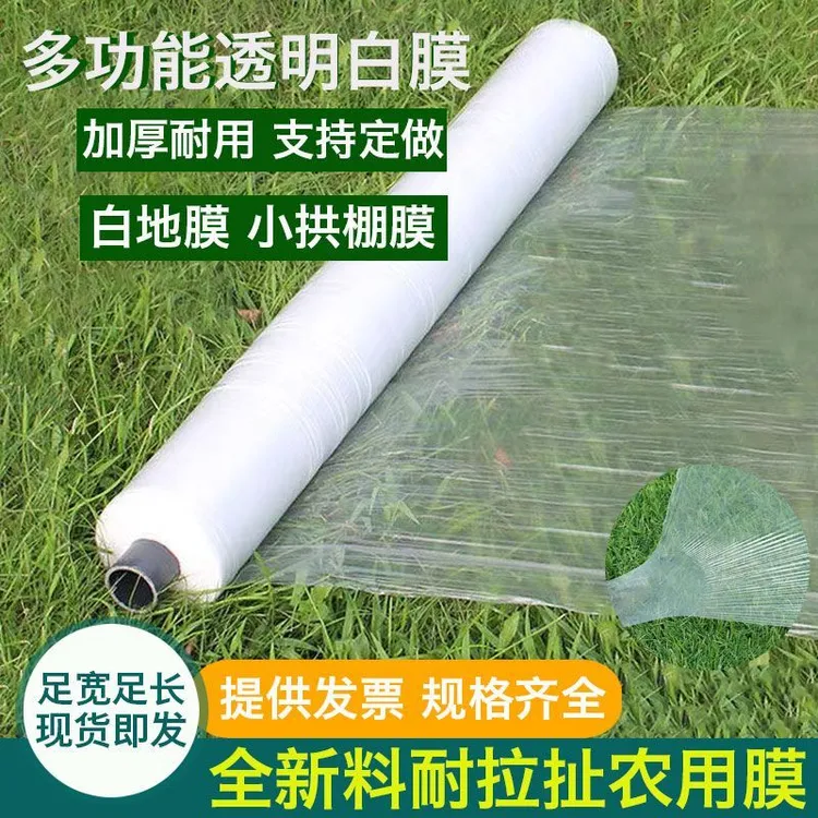 农用白地膜保温塑料薄膜育苗透光蔬菜草莓大棚膜小拱棚专用膜工程