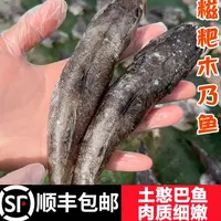 洪湖糍粑土憨巴鱼 1包 2包 4包 木乃鱼 半干半湿刺少肉多湖北特产