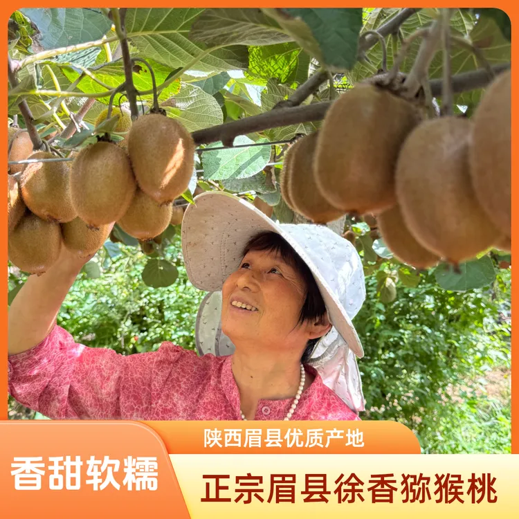 陕西眉县徐香猕猴桃香甜软糯