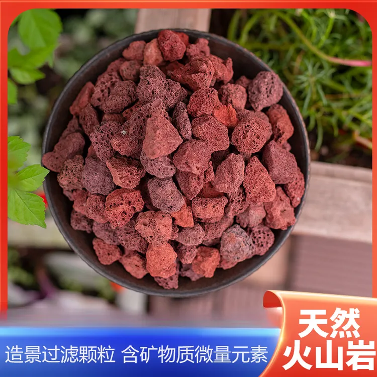 天然火山石红适用造景多肉兰花铺面疏松透气船长花园土铺底过滤