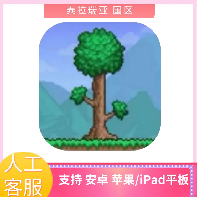 泰拉瑞亚 国服 中文 苹果/安卓 平板手机游戏游戏安装服务