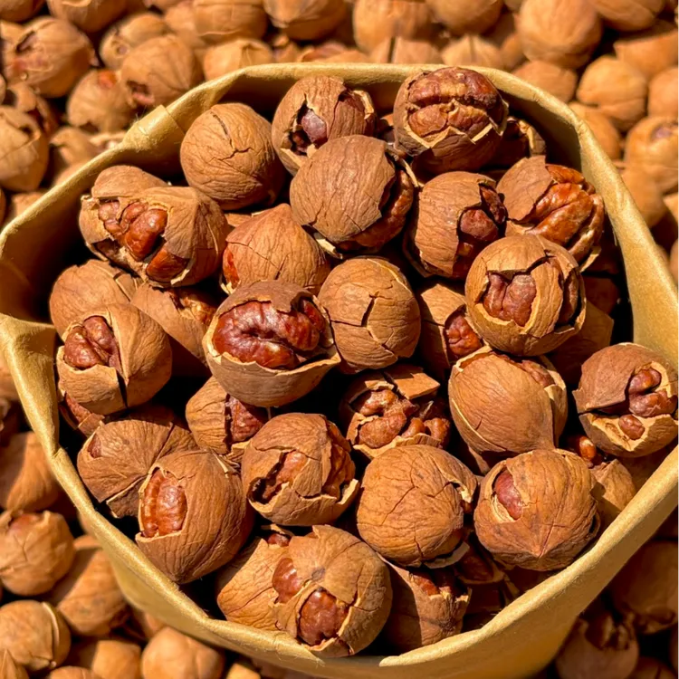 【陈叔记】临安特大籽 特好剥 山核桃