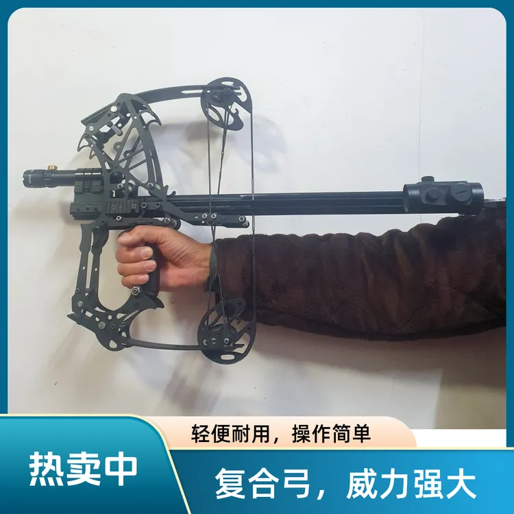 新款猛禽复合弓连发钢珠射箭两用复合弓户外体育器材
