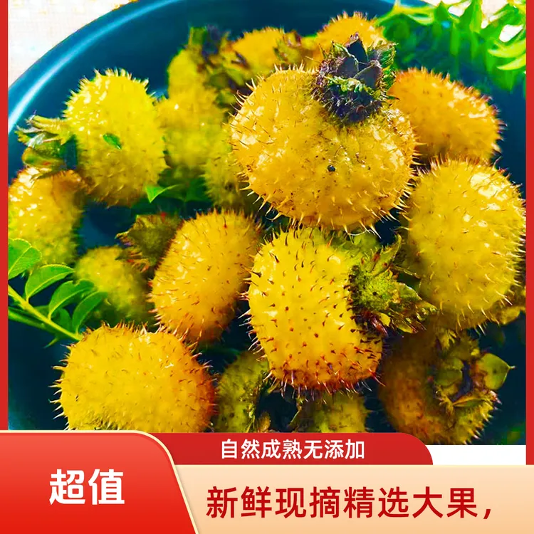 贵州野生刺梨鲜果维C之王泡沫箱加冰袋包装可泡酒泡水