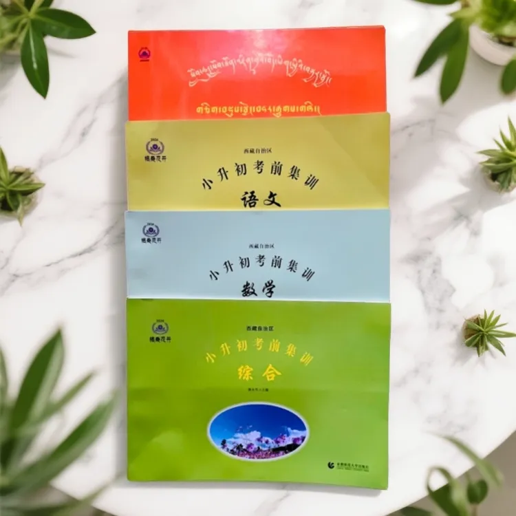 小升初考前集训  2026 藏 文 综合 数学 角落