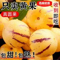 H云南石林人参果新鲜多汁带箱5斤单果50g起产地直发