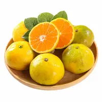蜜桔 900g