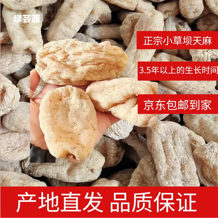 正宗小草坝林下种植干天麻 3.5年以上生长周期天麻