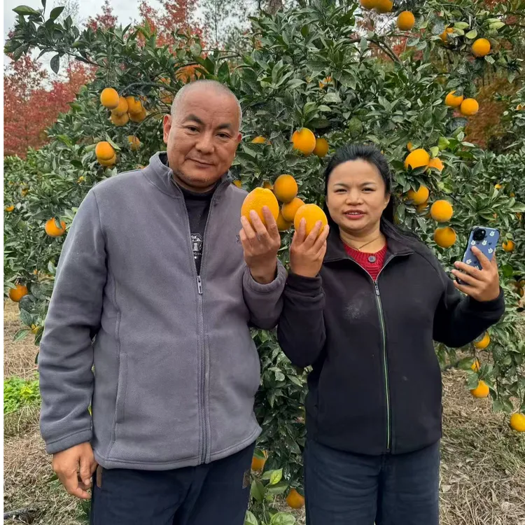 （乡村老六专属）正宗赣南脐橙江西赣南脐橙精品果新鲜水果现采现发