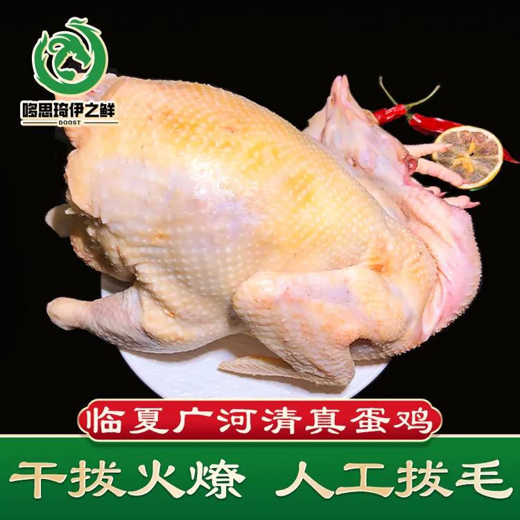 清真蛋鸡生鸡肉广河宰牲干拔火燎白斩鸡专用