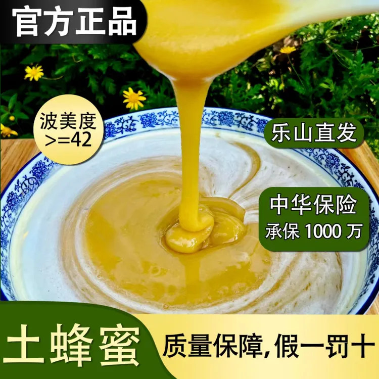 四川乐山结晶土蜂蜜农家蜂蜜 500g*2